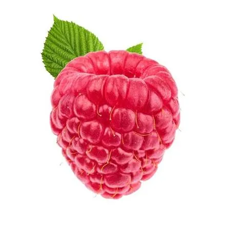 Sorbet Framboise 550 ml