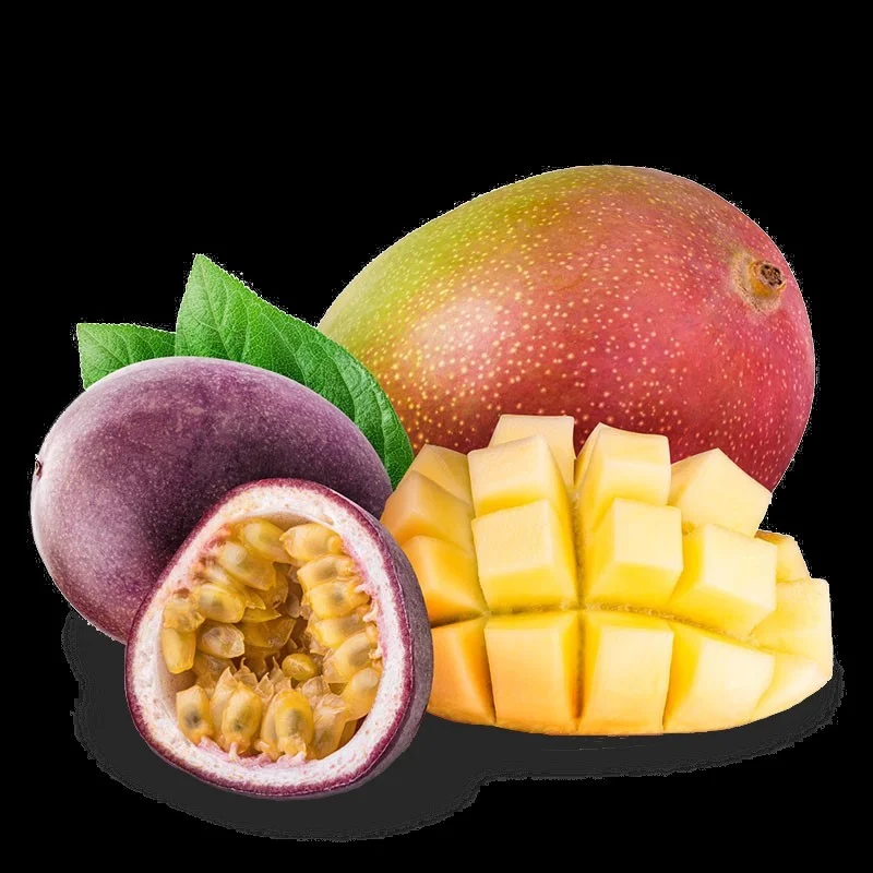 Sorbet Passion/mangue 120 ml